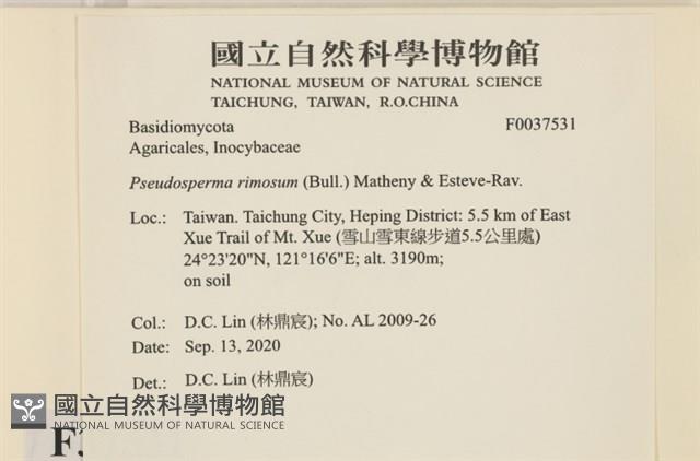 登錄號:F0037531藏品圖，第2張