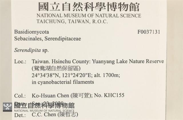 登錄號:F0037131藏品圖，第3張