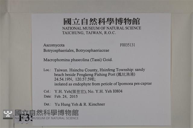 登錄號:F0035131藏品圖，第2張