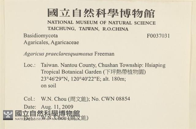 登錄號:F0037031藏品圖，第2張