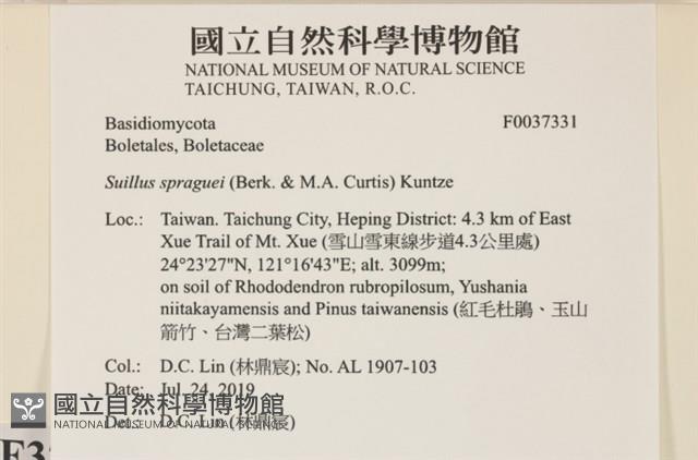 登錄號:F0037331藏品圖，第2張