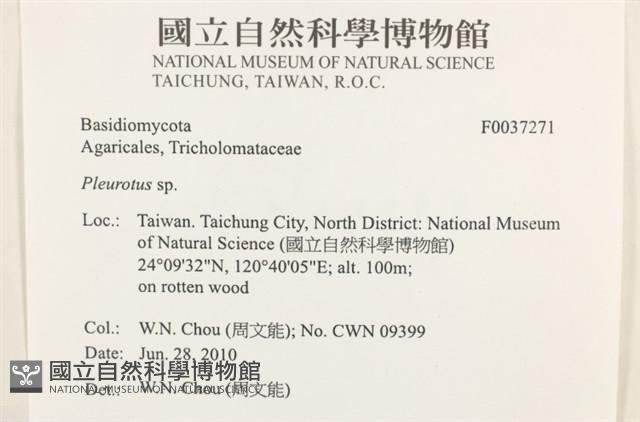 登錄號:F0037271藏品圖，第2張