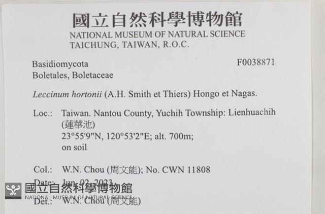 登錄號:F0038871藏品圖，第2張