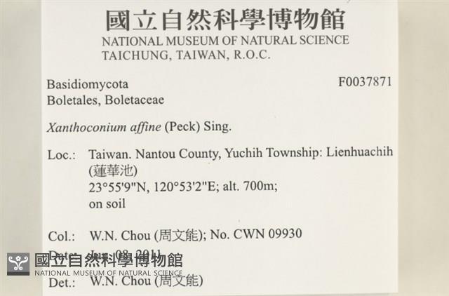 登錄號:F0037871藏品圖，第2張