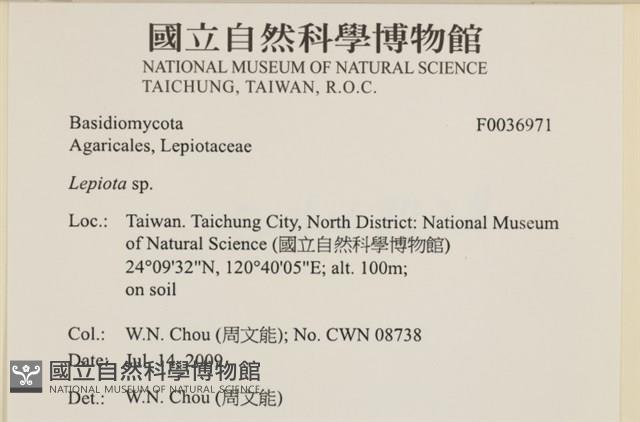 登錄號:F0036971藏品圖，第2張