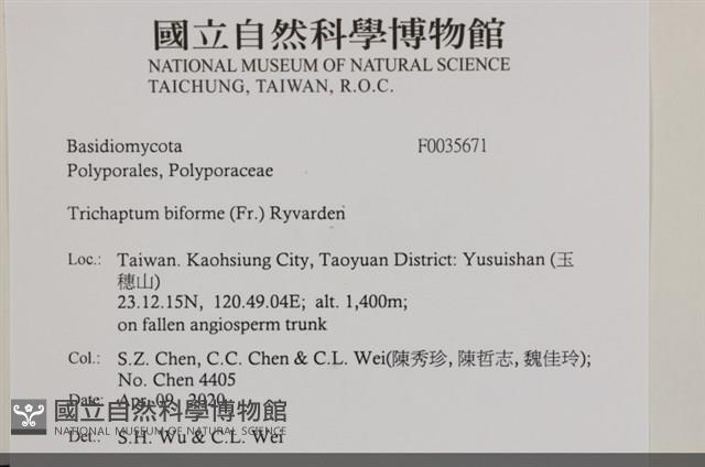 登錄號:F0035671藏品圖，第2張