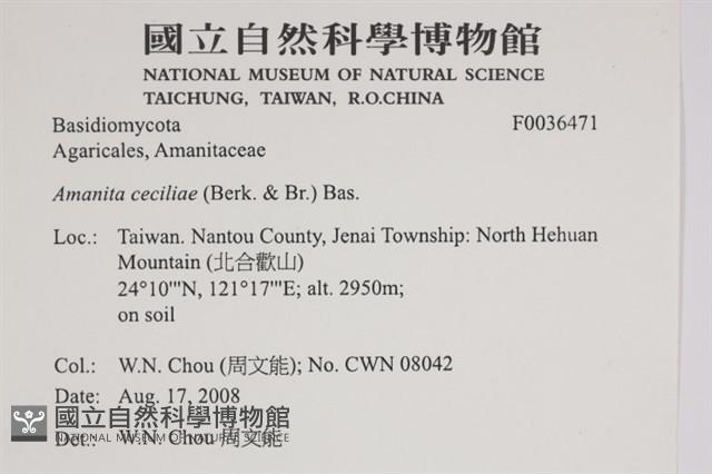 登錄號:F0036471藏品圖，第2張