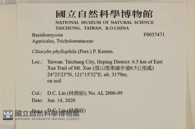 登錄號:F0037471藏品圖，第2張