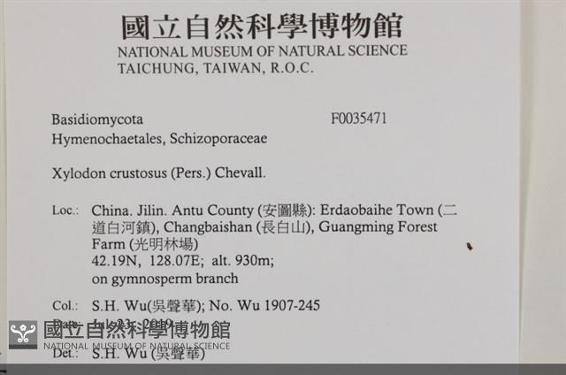 登錄號:F0035471藏品圖，第2張