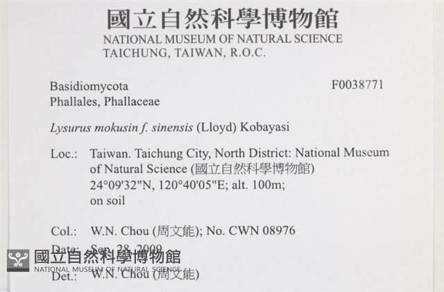 登錄號:F0038771藏品圖，第2張