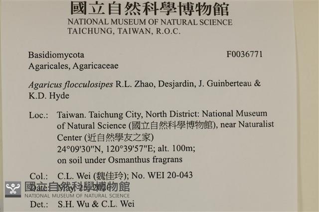 登錄號:F0036771藏品圖，第2張
