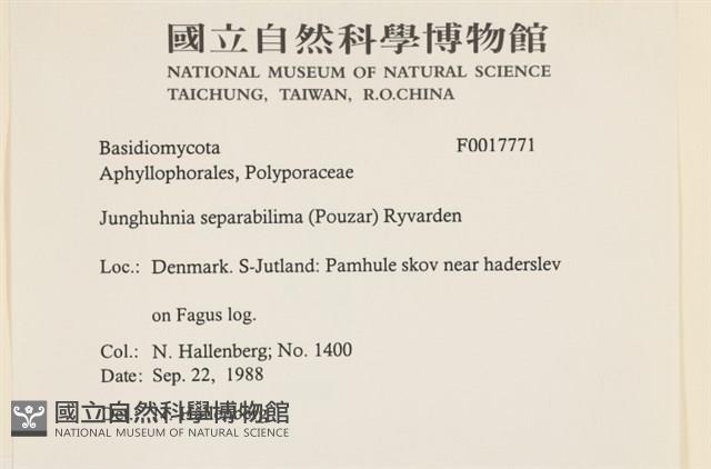 登錄號:F0017771藏品圖，第2張