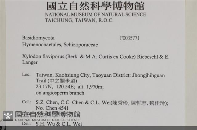 登錄號:F0035771藏品圖，第2張