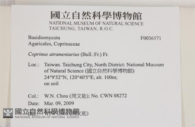 登錄號:F0036571藏品圖，第2張