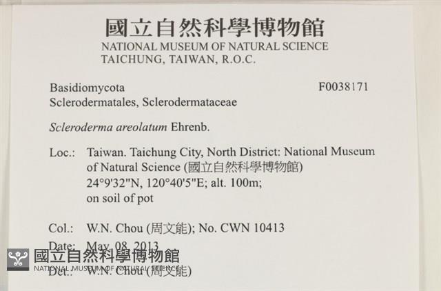 登錄號:F0038171藏品圖，第2張