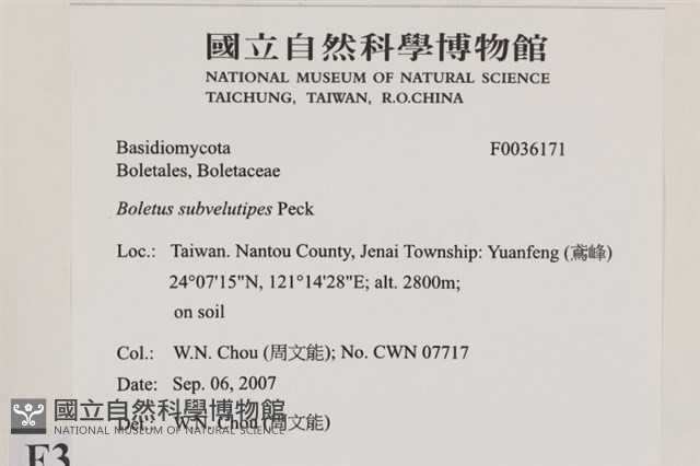 登錄號:F0036171藏品圖，第2張