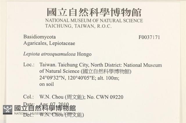 登錄號:F0037171藏品圖，第2張
