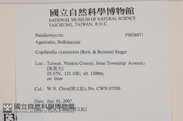 登錄號:F0036071藏品圖，第2張