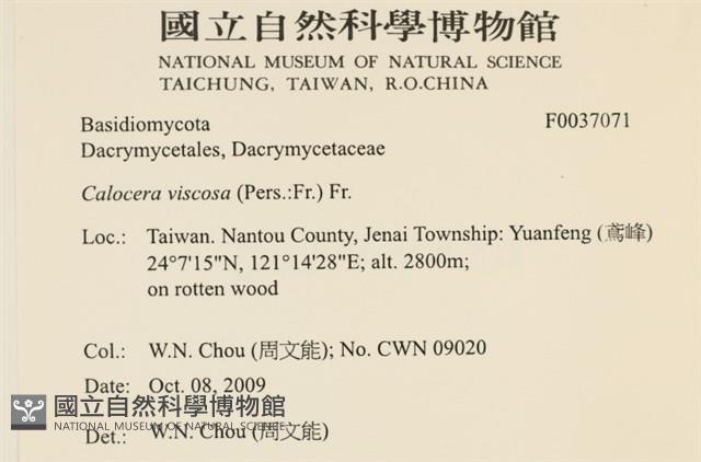 登錄號:F0037071藏品圖，第2張