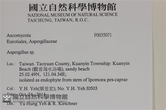 登錄號:F0035071藏品圖，第2張