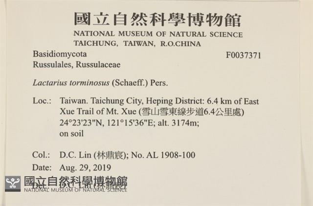 登錄號:F0037371藏品圖，第2張