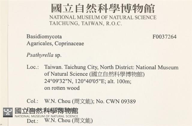 登錄號:F0037264藏品圖，第2張