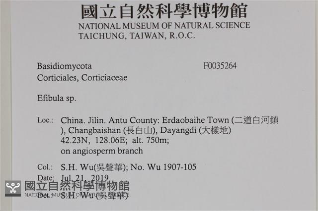 登錄號:F0035264藏品圖，第2張