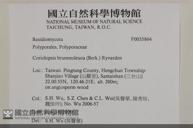 登錄號:F0035864藏品圖，第2張
