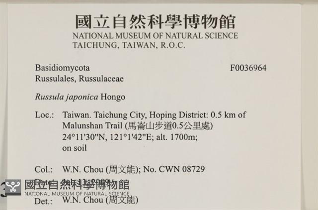 登錄號:F0036964藏品圖，第2張