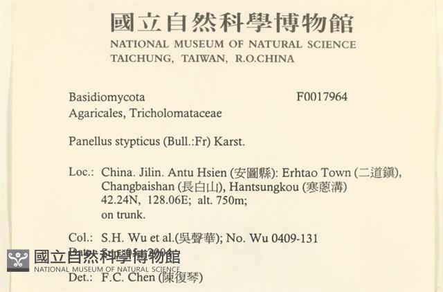 登錄號:F0017964藏品圖，第2張