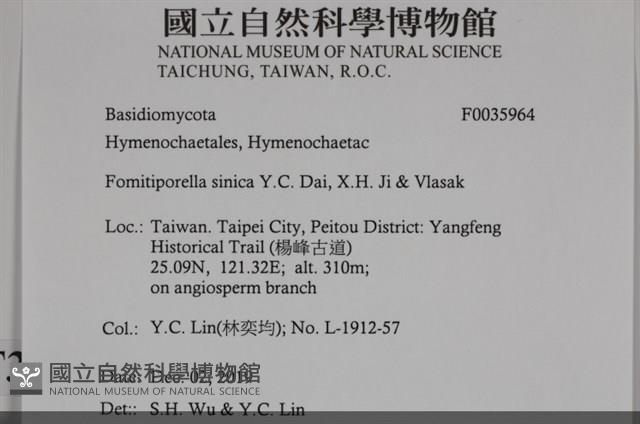 登錄號:F0035964藏品圖，第2張