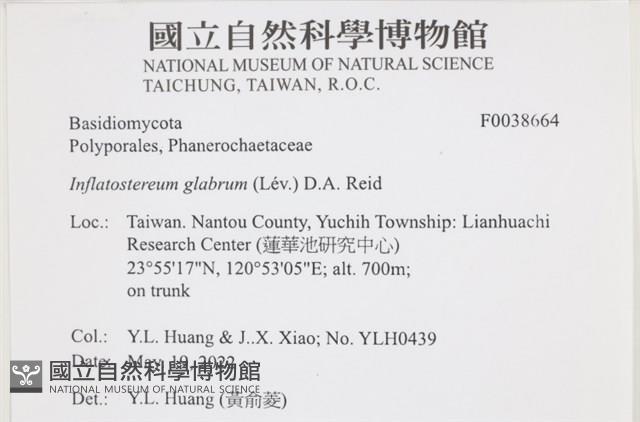 登錄號:F0038664藏品圖，第2張