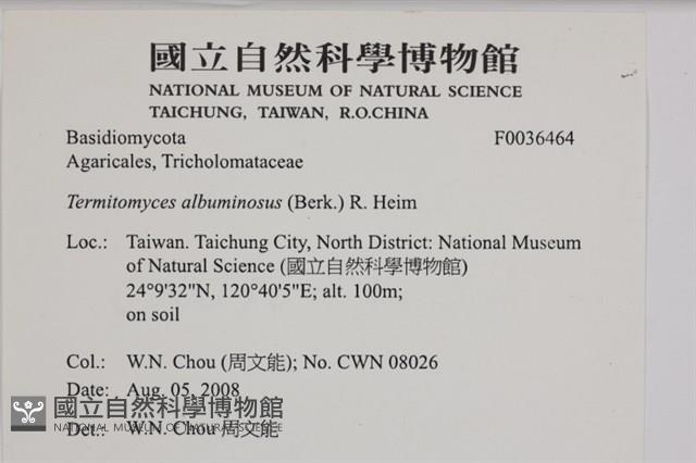 登錄號:F0036464藏品圖，第2張