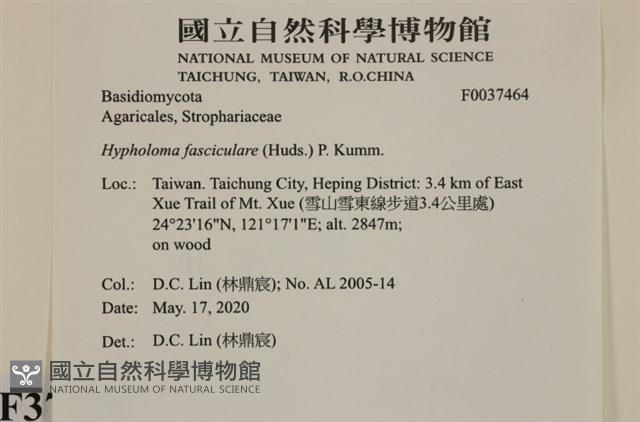 登錄號:F0037464藏品圖，第2張