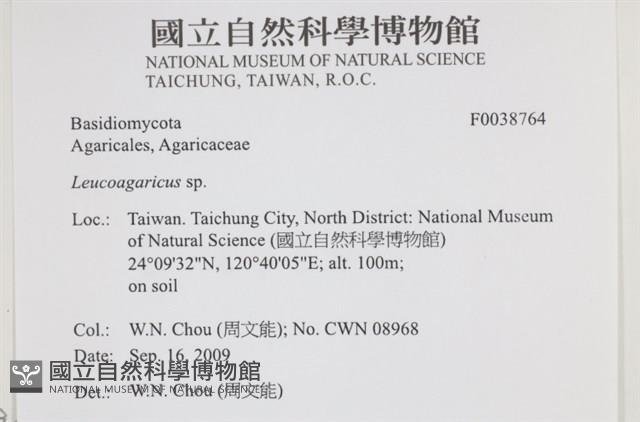 登錄號:F0038764藏品圖，第2張