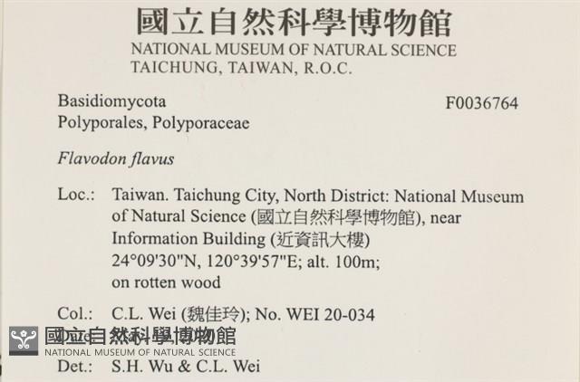 登錄號:F0036764藏品圖，第2張