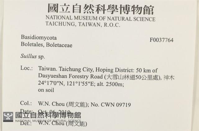 登錄號:F0037764藏品圖，第2張