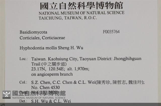 登錄號:F0035764藏品圖，第2張