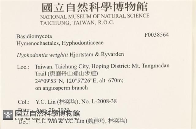 登錄號:F0038564藏品圖，第2張