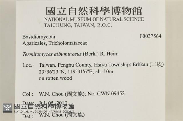 登錄號:F0037564藏品圖，第2張