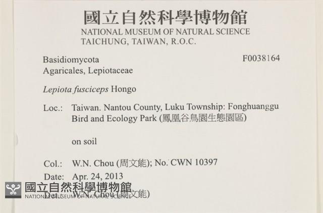 登錄號:F0038164藏品圖，第2張