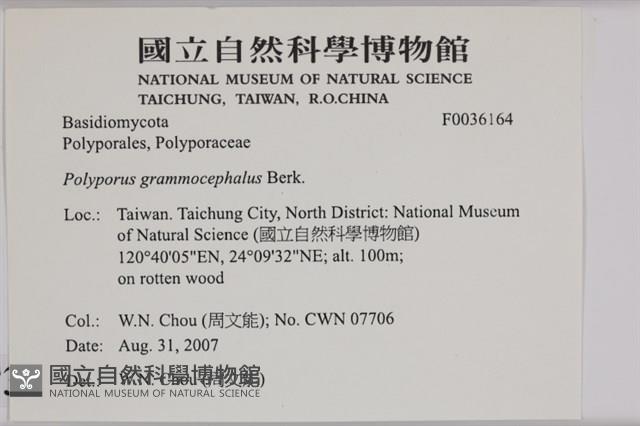 登錄號:F0036164藏品圖，第2張