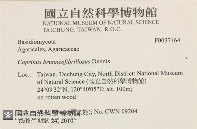 登錄號:F0037164藏品圖，第2張