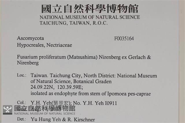 登錄號:F0035164藏品圖，第2張