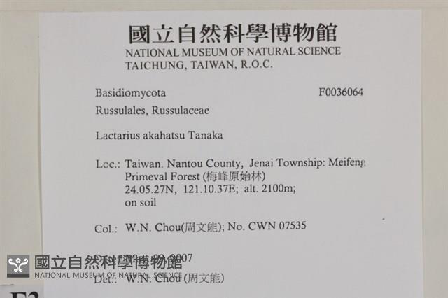 登錄號:F0036064藏品圖，第2張