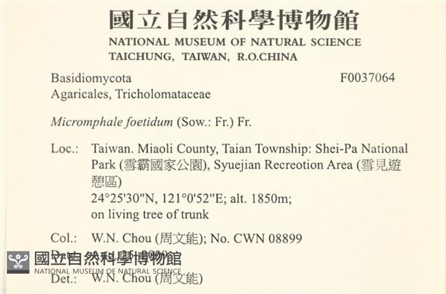 登錄號:F0037064藏品圖，第2張