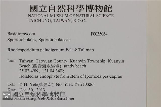 登錄號:F0035064藏品圖，第2張