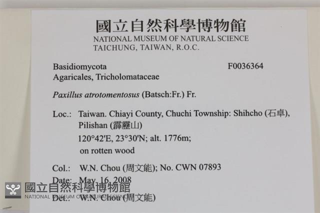 登錄號:F0036364藏品圖，第2張