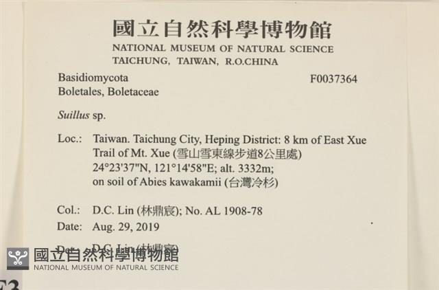登錄號:F0037364藏品圖，第2張
