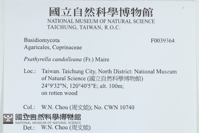 登錄號:F0039364藏品圖，第2張